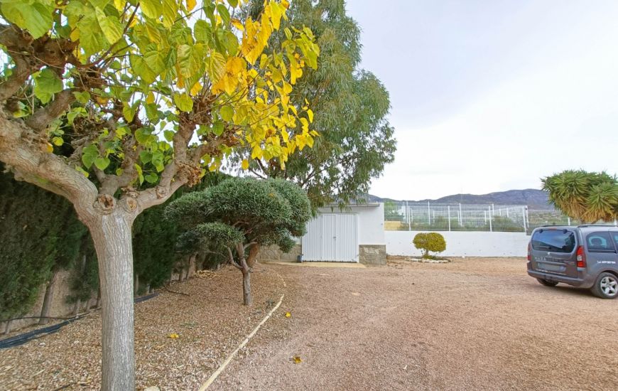 Venta - Casa Rural - Albatera