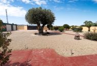 Venta - Casa Rural - Catral