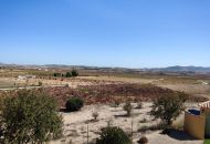 Sale - Finca - Pinoso