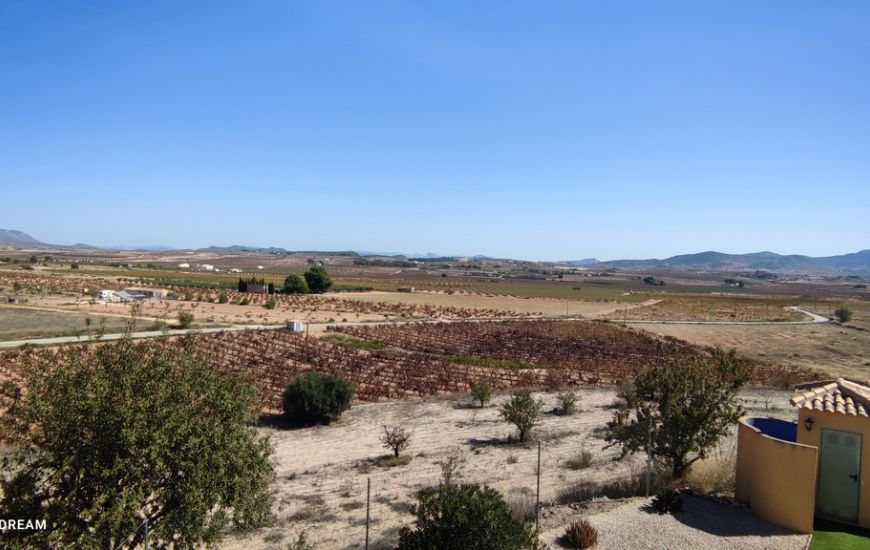 Sale - Finca - Pinoso
