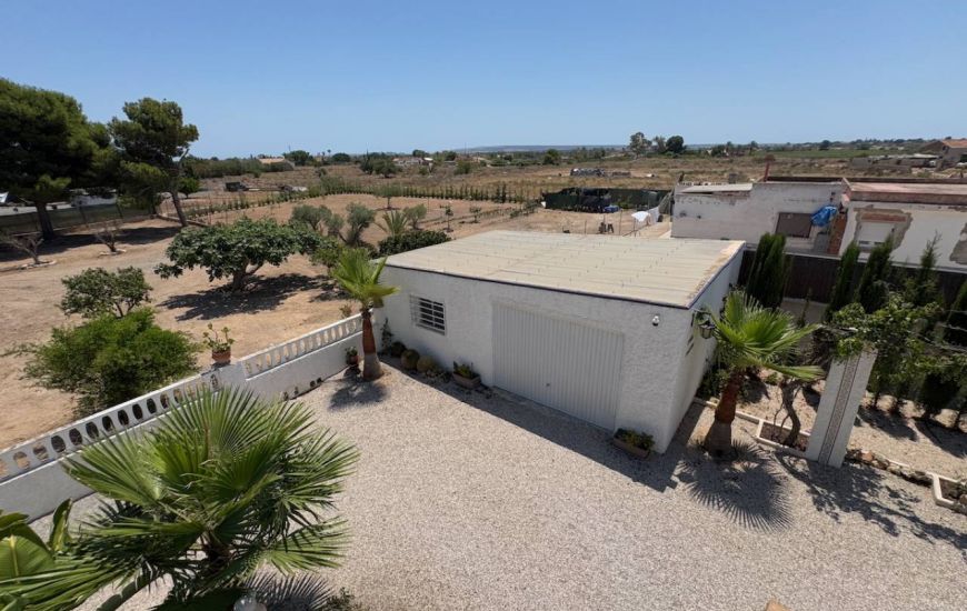 Sale - Finca - Torrellano