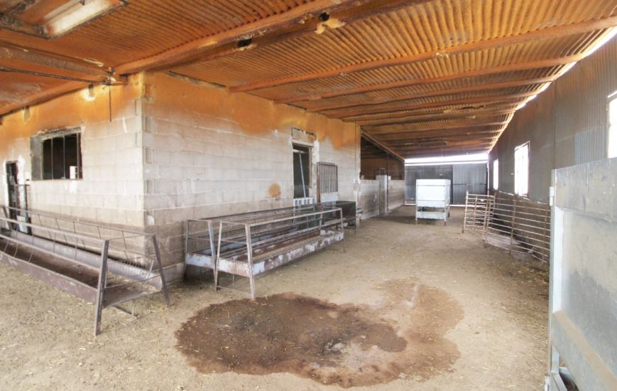 Venta - Casa Rural - Aspe pedanias