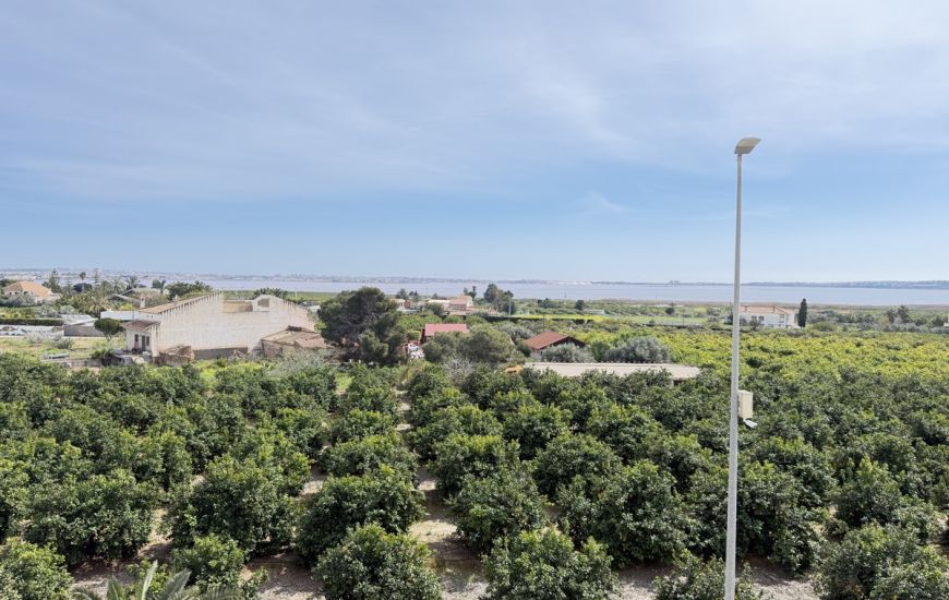 Sale - Apartments - Los Montesinos