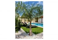 Venta - Villa / Detached - Ciudad Quesada