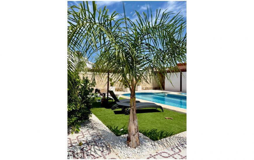 Venta - Villa / Detached - Ciudad Quesada