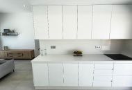 New Build - Villa - Pilar de la Horadada