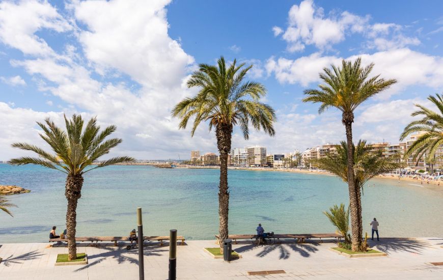 Venta - Apartamentos - Torrevieja