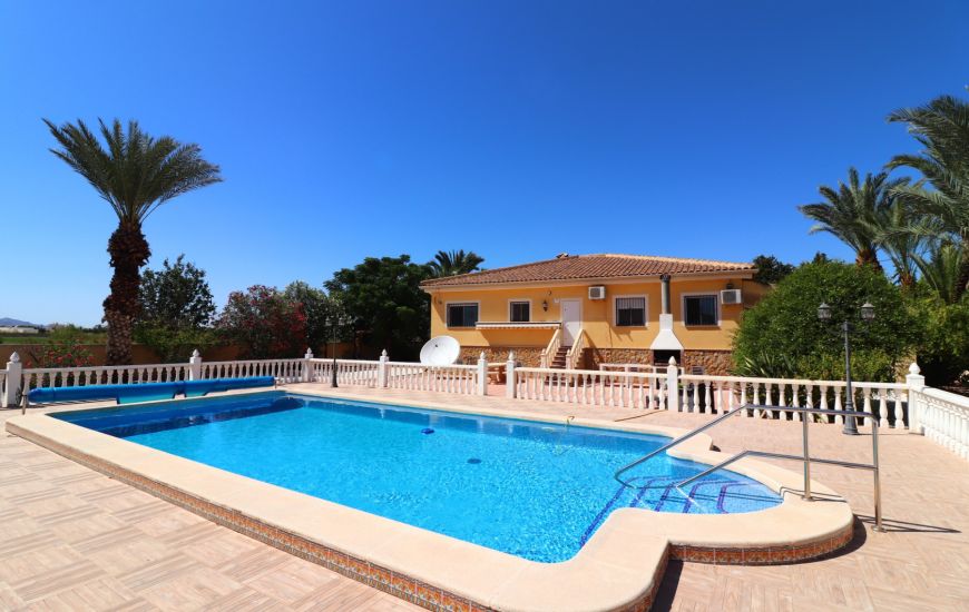Sale - Finca - Catral
