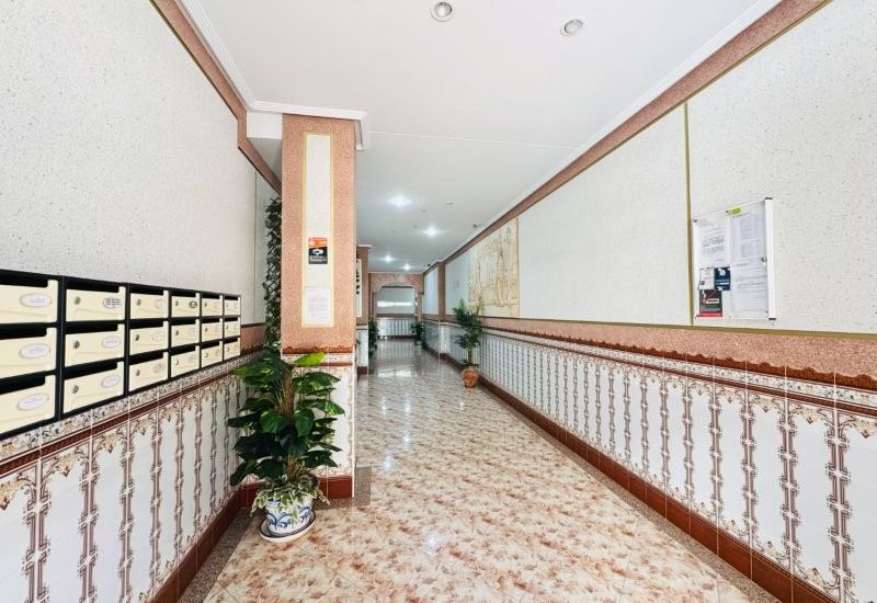 Sale - Apartments - La Mata
