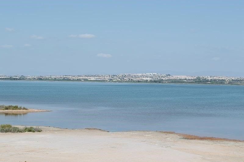 Sale - Apartments - La Mata - 