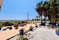 Sale - Villa - 