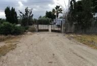 Sale - Country Property - Crevillente