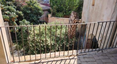 Adosado - Venta - Pinoso - Pinoso