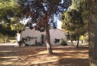 Sale - Finca - Aspe