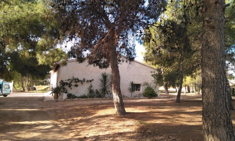 Sale - Finca - Aspe