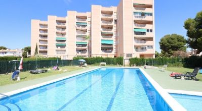 Apartamentos - Venta - Orihuela Costa - Orihuela Costa