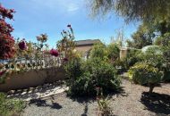 Sale - Finca - Catral