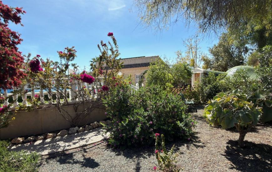 Sale - Finca - Catral