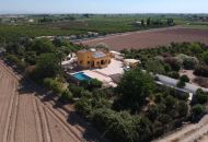 Sale - Finca - Orihuela