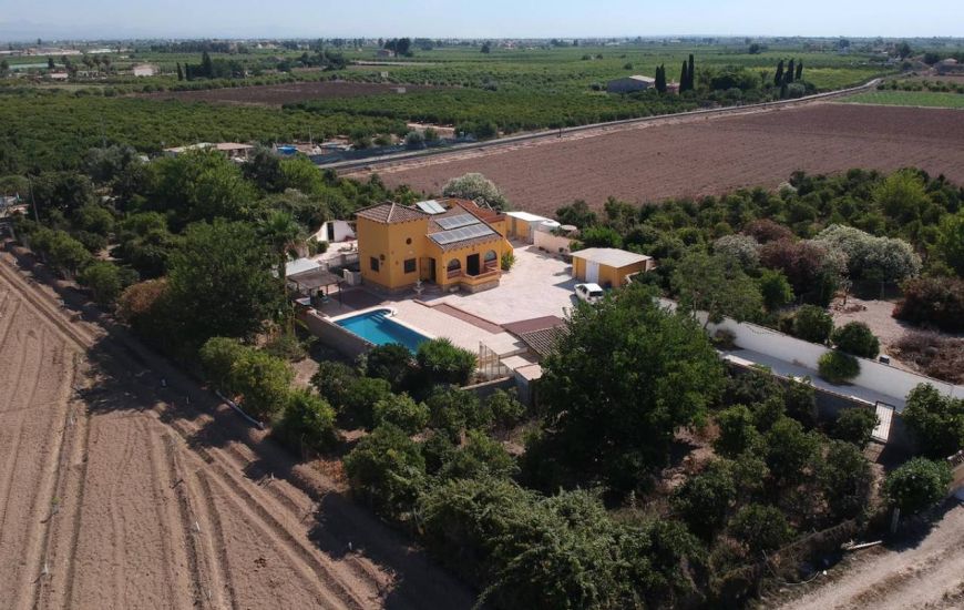 Sale - Finca - Orihuela