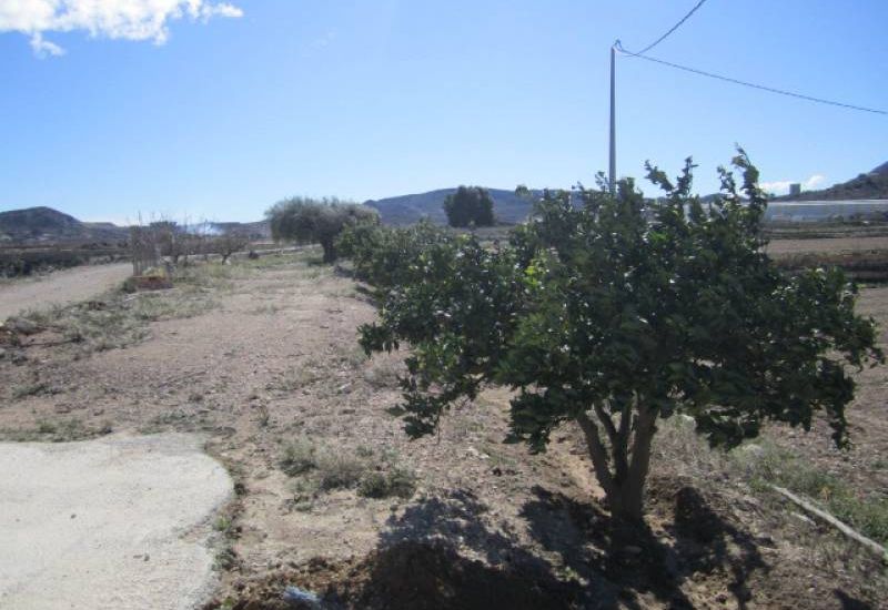 Sale - Country Property - Aspe