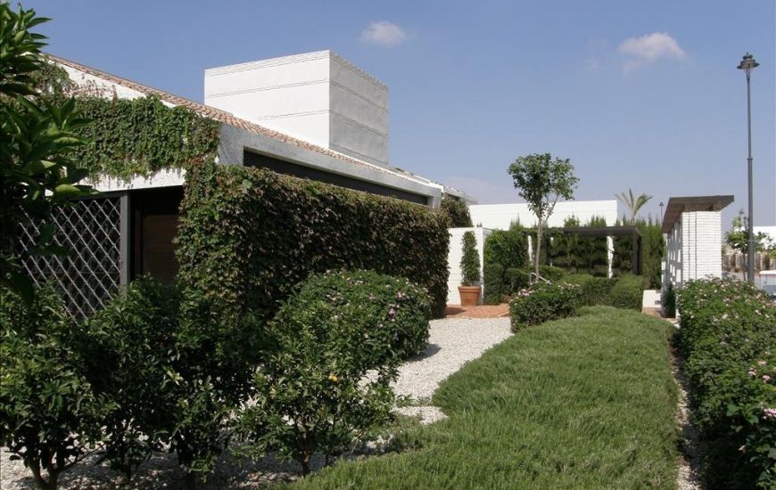 New Build - Villa - Sucina