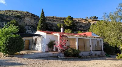 Finca - Sale - Fortuna - Fortuna