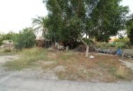 Sale - Finca - Elche