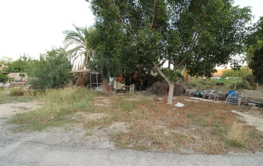 Sale - Finca - Elche