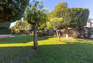 Sale - Ground Floor - Torrevieja