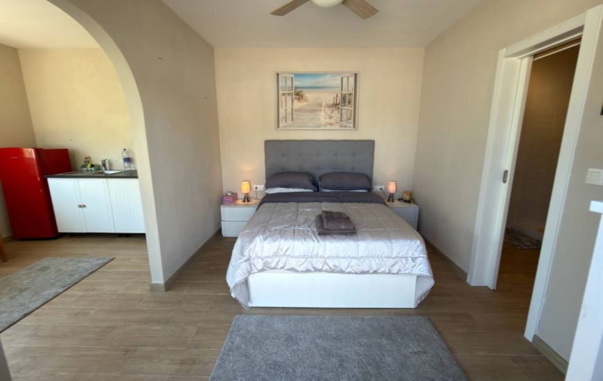 Sale - Finca - Catral