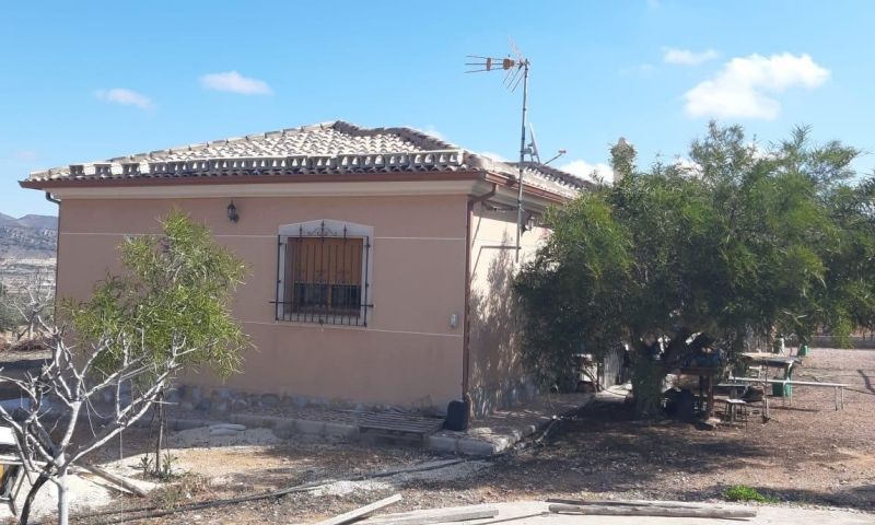 Sale - Villa - 