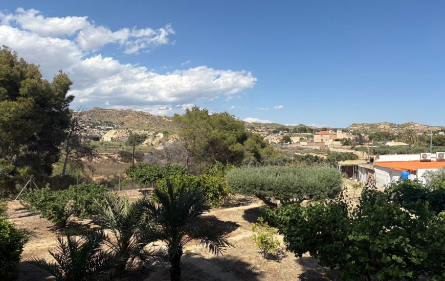 Sale - Finca - Elche