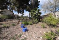 Venta - Apartamentos - 