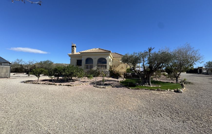 Sale - Finca - Torremendo