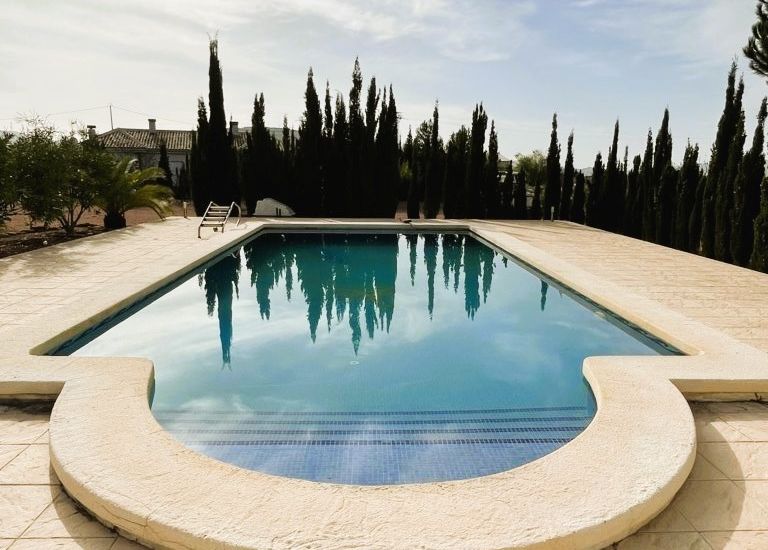 Sale - Finca - Pinoso