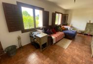 Sale - Finca - Sax
