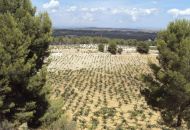 Sale - Villa - Venta Del Moro