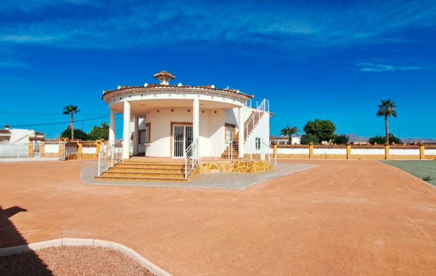 Sale - Finca - Catral