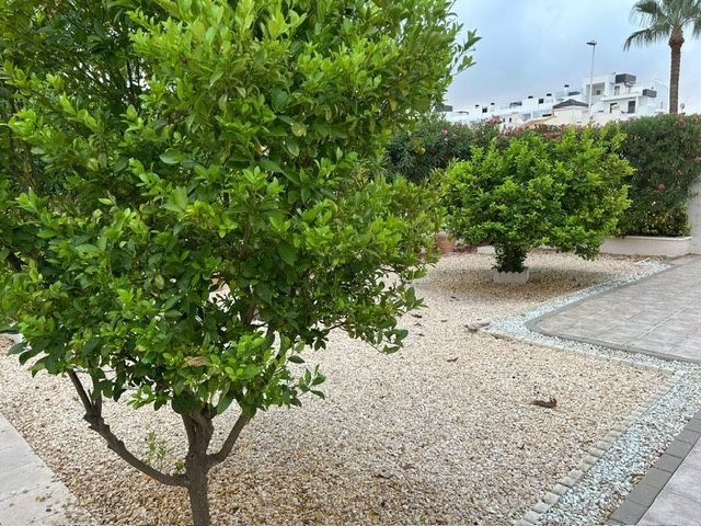 Sale - Villa - Villamartin