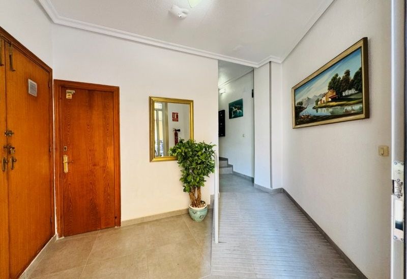 Sale - Apartments - 