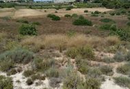 Sale - Land - Pinar de Campoverde - Pinar De Campoverde