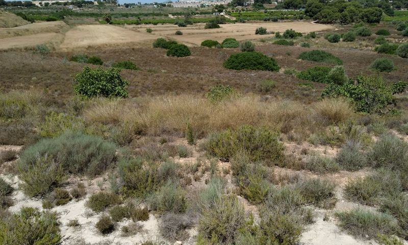 Sale - Land - Pinar de Campoverde - Pinar De Campoverde