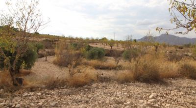 Land - Sale - Hondon de los Frailes - Hondon de los Frailes