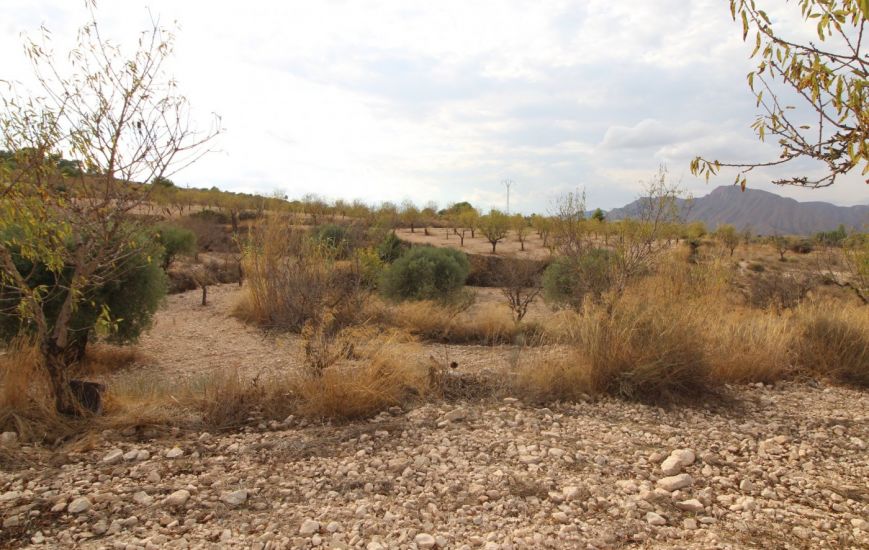 Sale - Land - Hondon de los Frailes