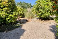 Sale - Finca - Los Montesinos