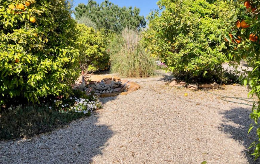 Sale - Finca - Los Montesinos