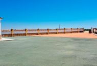Sale - Finca - Catral