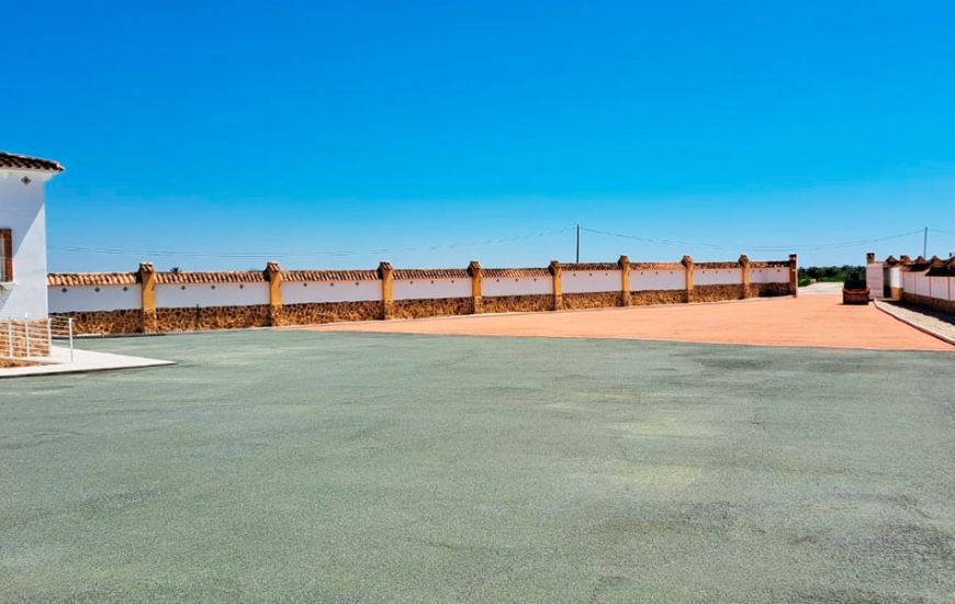 Sale - Finca - Catral