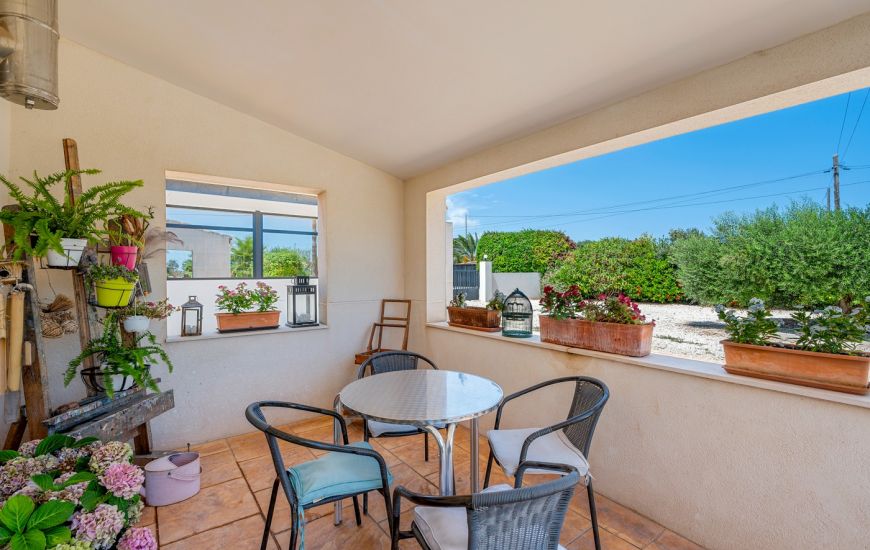 Venta - Country estate - Elche/Elx